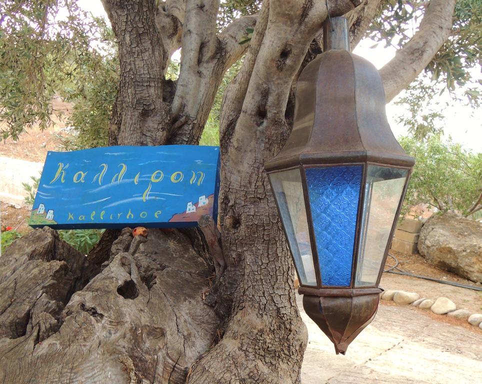 Kalliroe -creta Appartement *