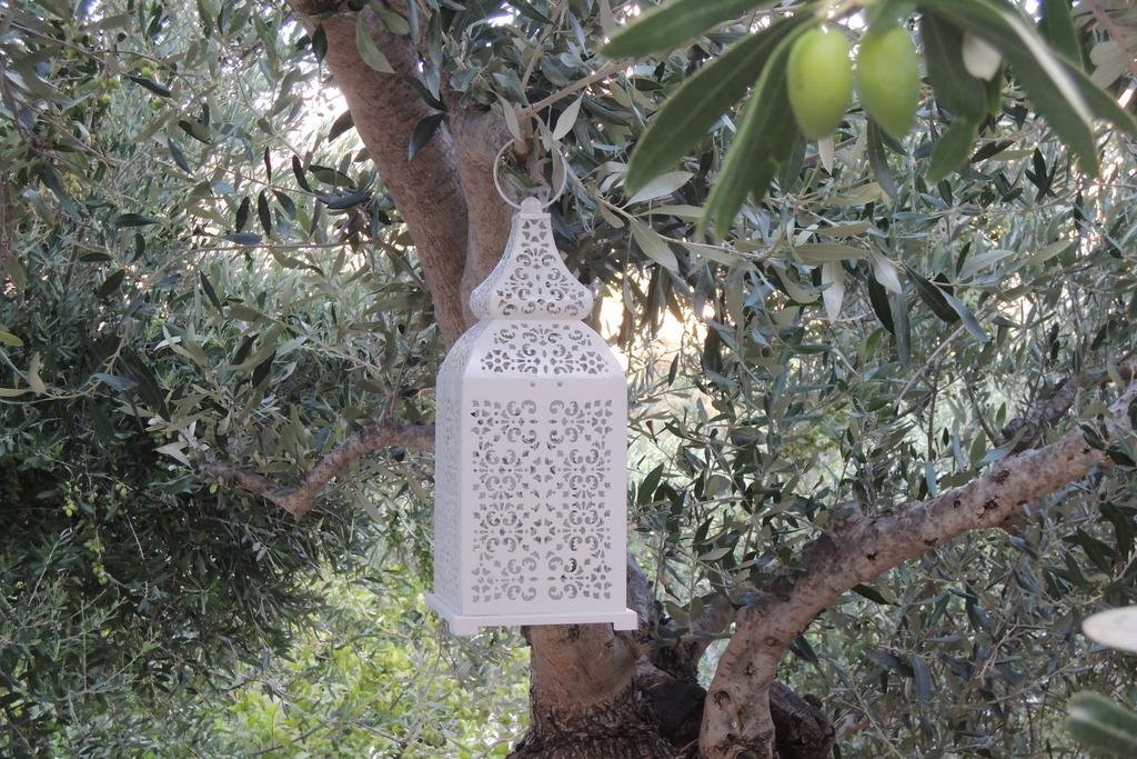 Appartement Kalliroe -creta